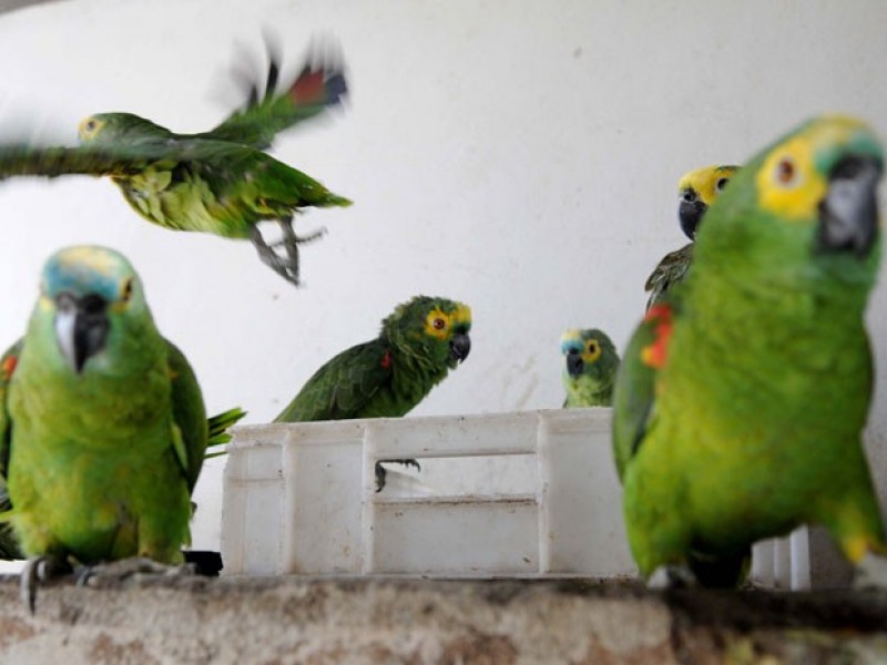 17abc9520b4909681a08759bc13c592a