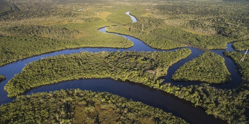 Floresta Amazônica é a maior floresta tropical do mundo (Foto :Reprodução)