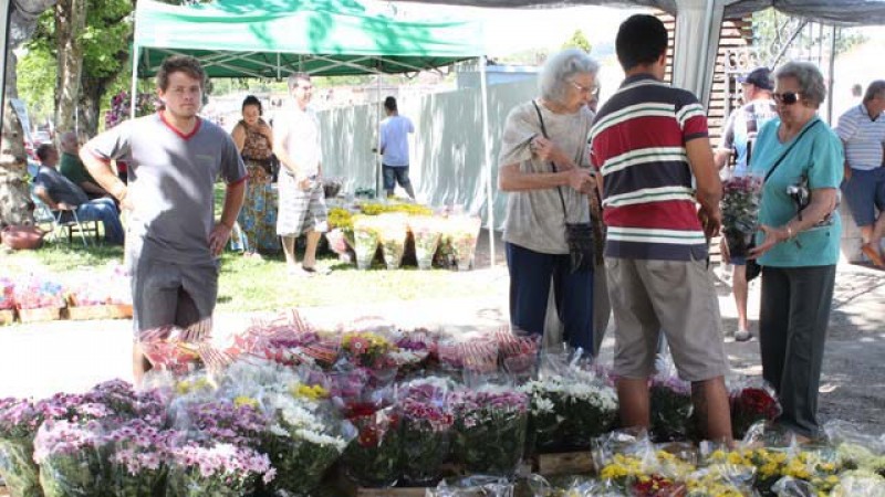 Preços de flores podem variar em até 400% no feriado de Finados (Foto: Reprodução)