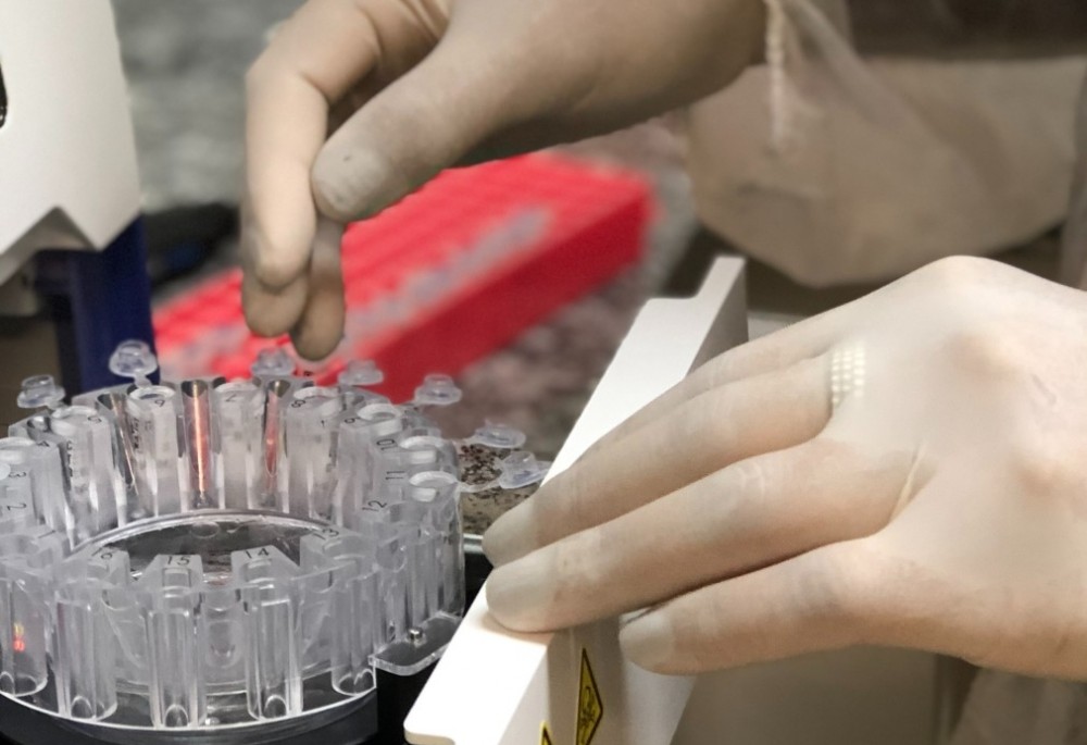 A concentração de torquetenovírus (TTV) no organismo de pessoas infectadas pela Covid-19 apresentou correlação com o estado de intensidade ou recuperação da doença | Foto: Divulgação/ Agência Fapesp