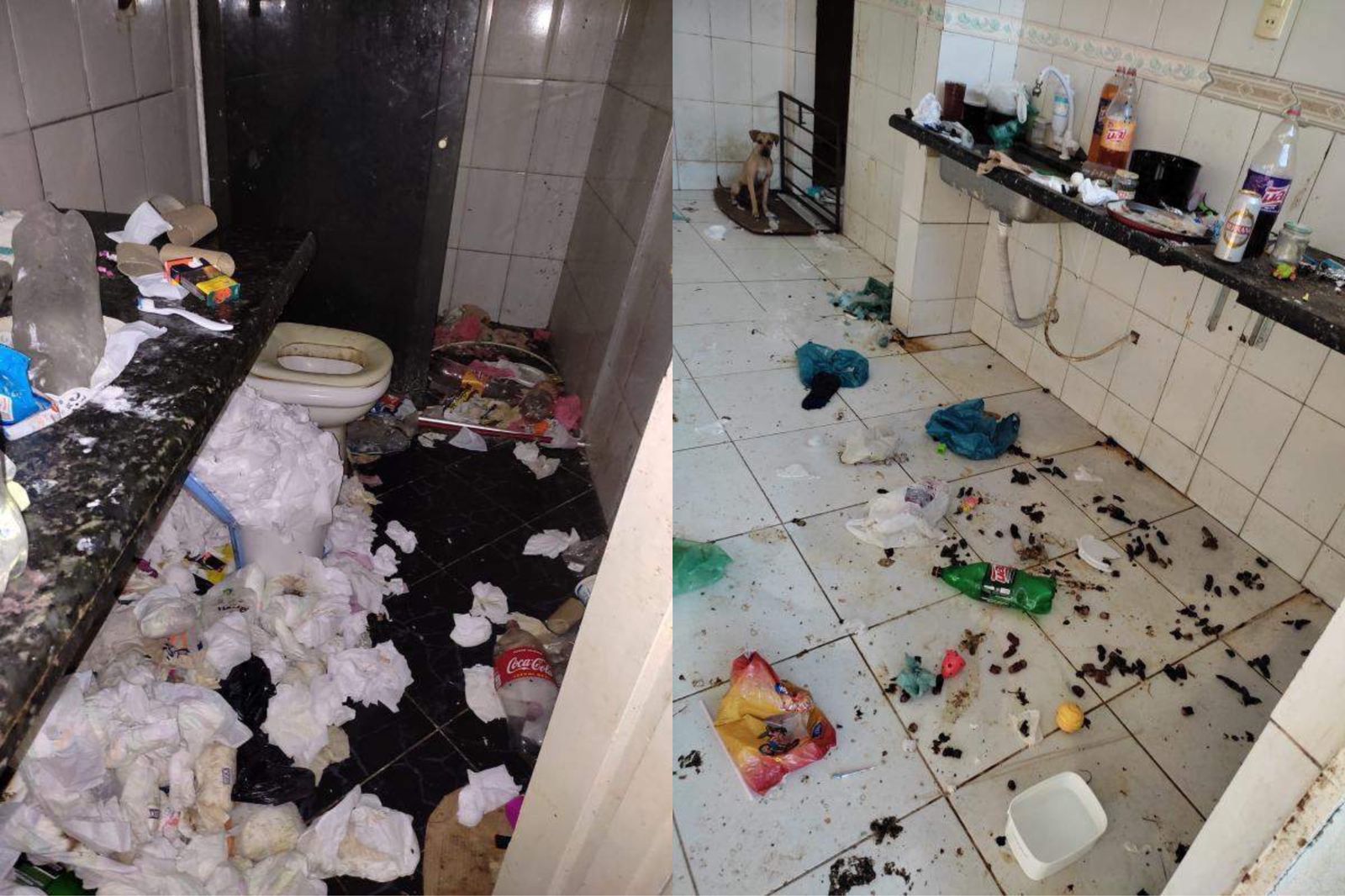 Pais das crianças foram autuados em flagrante por maus-tratos, cárcere privado e lesão corporal | Foto: Reprodução