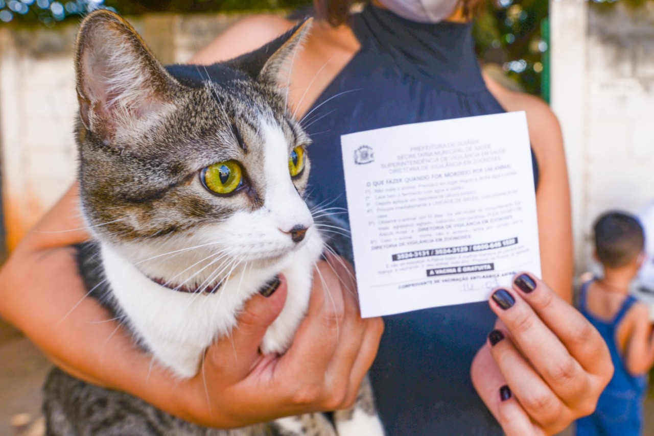 A vacina é indicada para cães e gatos a partir de três meses de idade e é aplicada de forma anual, evitando o contágio da doença | Foto: Divulgação/ Prefeitura de Goiânia