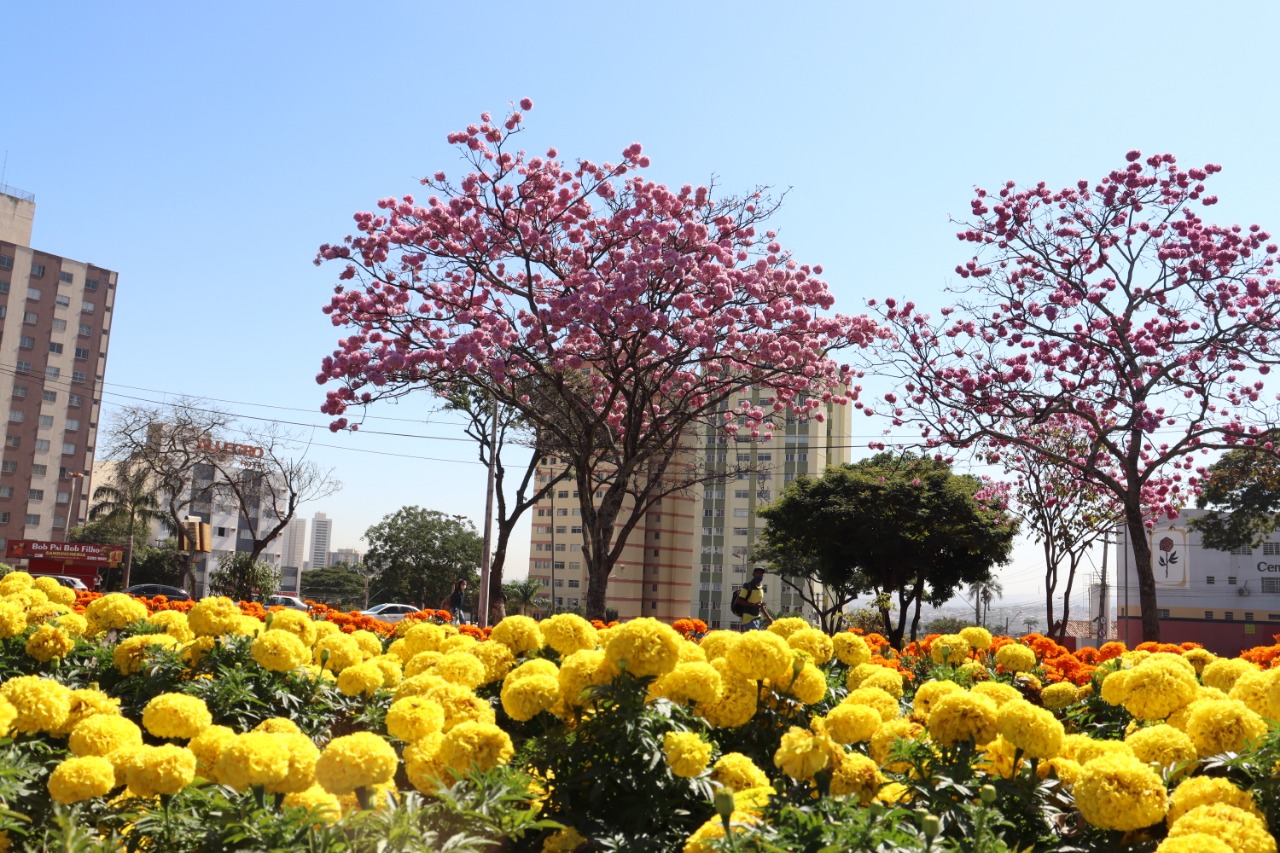 Pensando numa gestão humanizada, os trabalhos de revitalização e manutenção dos espaços públicos foram ampliados pela companhia | Foto: Pref. Goiânia
