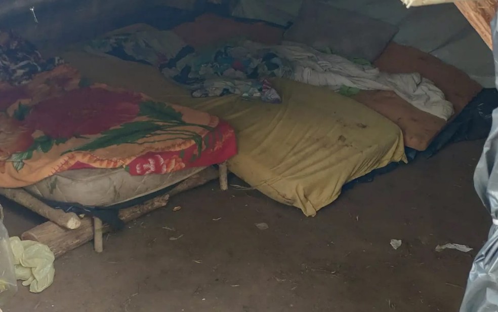 A mãe das crianças também foi presa por possível omissão. | Foto: Reprodução/Polícia Civil