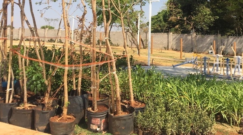 No local serão desenvolvidas práticas de sustentabilidade por meio do plantio e distribuição de mudas | Foto: Reprodução