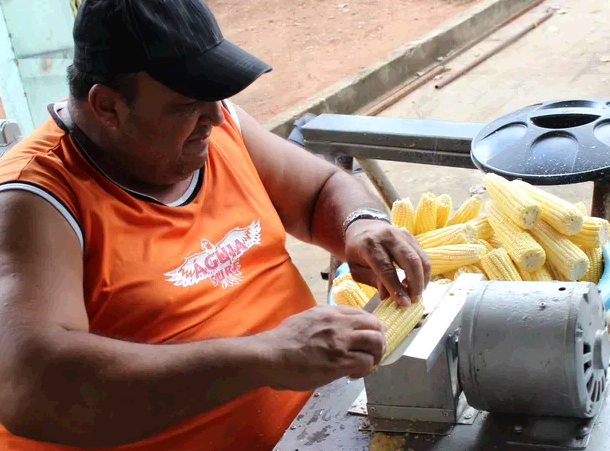 A pamonha e as “pamonhadas” também estão no DNA goiano; Para a enfermeira Matilde Assis, não é suficiente só comprar a massa pronta ou ir a uma pamonharia | Foto: Pamonharia Gourmet/Reprodução
