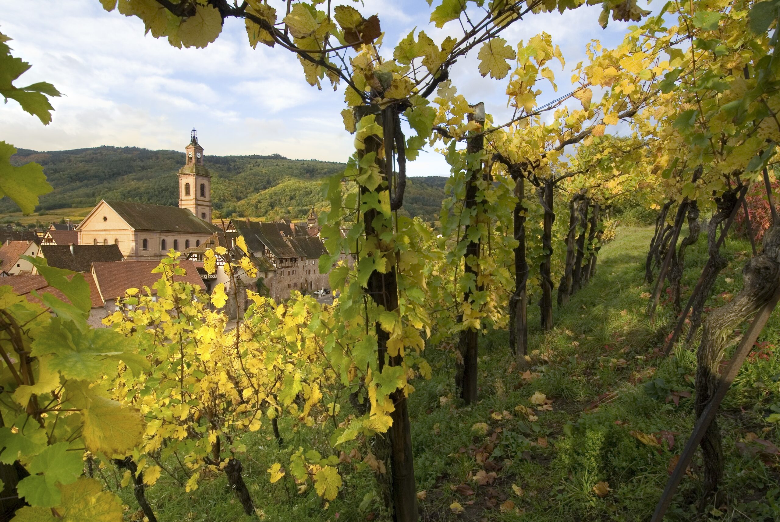 Alsácia é uma região marcada pela forte influência alemã. Devido à sua localização geográfica, foi alvo de muita disputa entre a França e a Alemanha