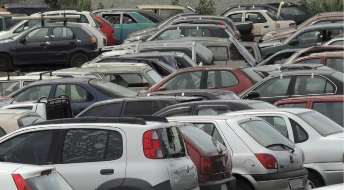 O leilão será realizado pela empresa Leilomaster. Os lotes estarão disponíveis para visitação no final de novembro e início de dezembro | Foto: Reprodução