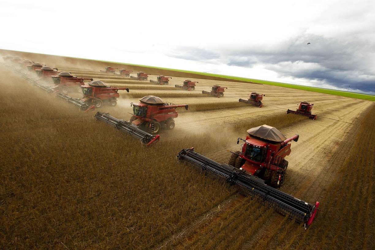 Iniciativa visa proibir a entrada de produtos agropecuários sob justificativa de conter o desmatamento | Foto: Reprodução