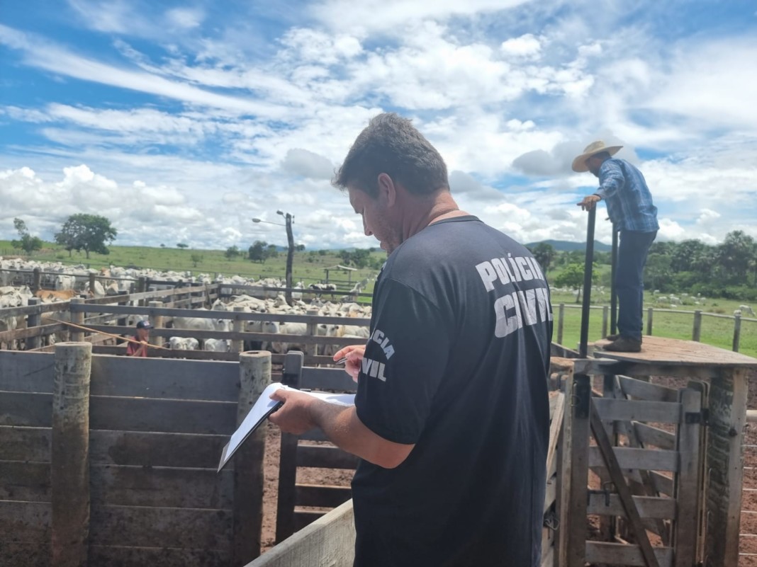 Os animais haviam sido subtraídos no município de Aruanã | Foto: PCGO