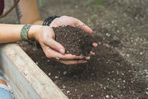 As lojas passaram a vender vasos, terras, iluminação, filtros de ar, bandejas, eletrônicos para os cuidados com a planta | Foto: Reprodução