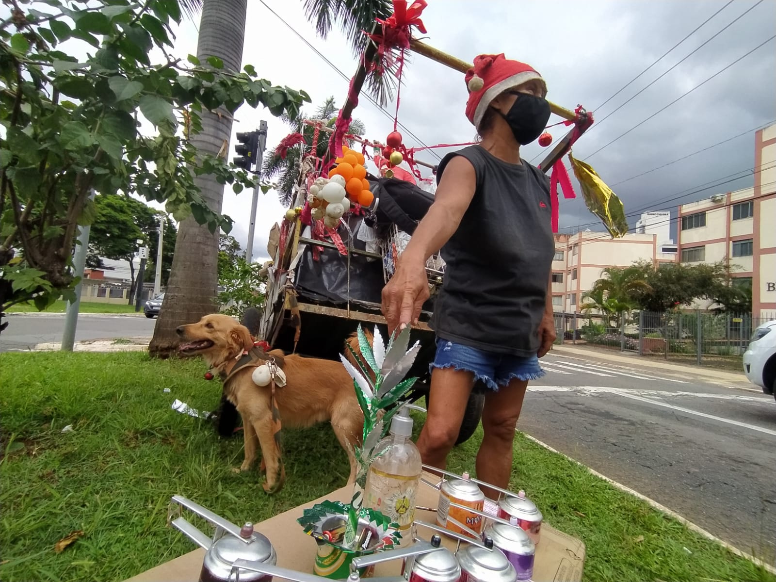 Uma crônica sobre a vida de Márcia, Aguinaldo e os dois cães Bilu e Spike, personagens do cotidiano durante o Natal  | Foto: Yago Sales