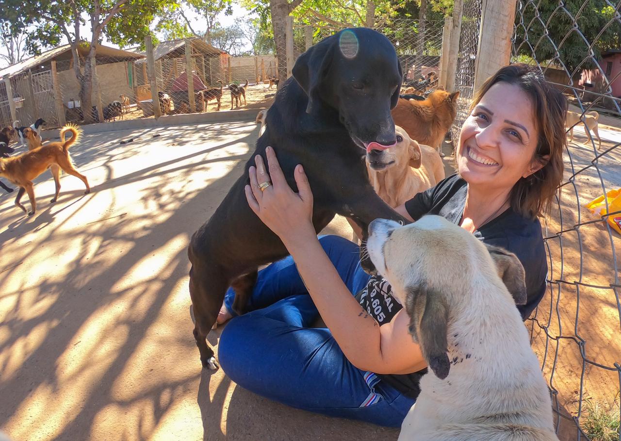 Atrocidades contra pets podem levar até cinco anos de cadeia. Público teme denúncias após endurecimento da lei | Foto: Reprodução