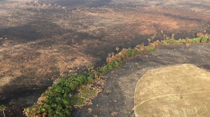 A Chapada dos Veadeiros foi um dos pontos mais afetados pela destruição pelo fogo, que atingiu níveis elevados na última década. | Foto: Reprodução