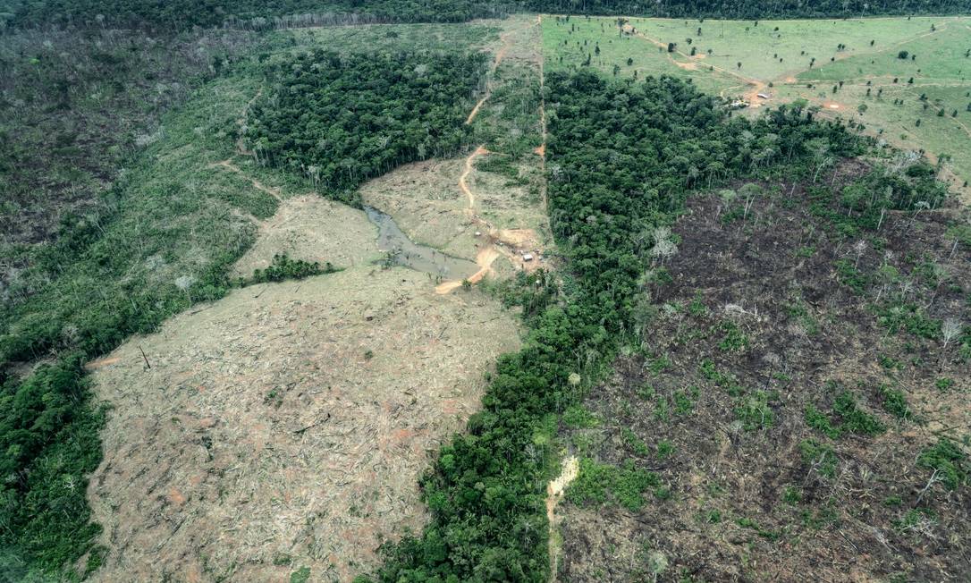 A Amazônia Legal perdeu, nos últimos 11 meses, 10.222 km² de floresta nativa, número 31% maior do que o registrado no mesmo período de 2020. | Foto: Reprodução