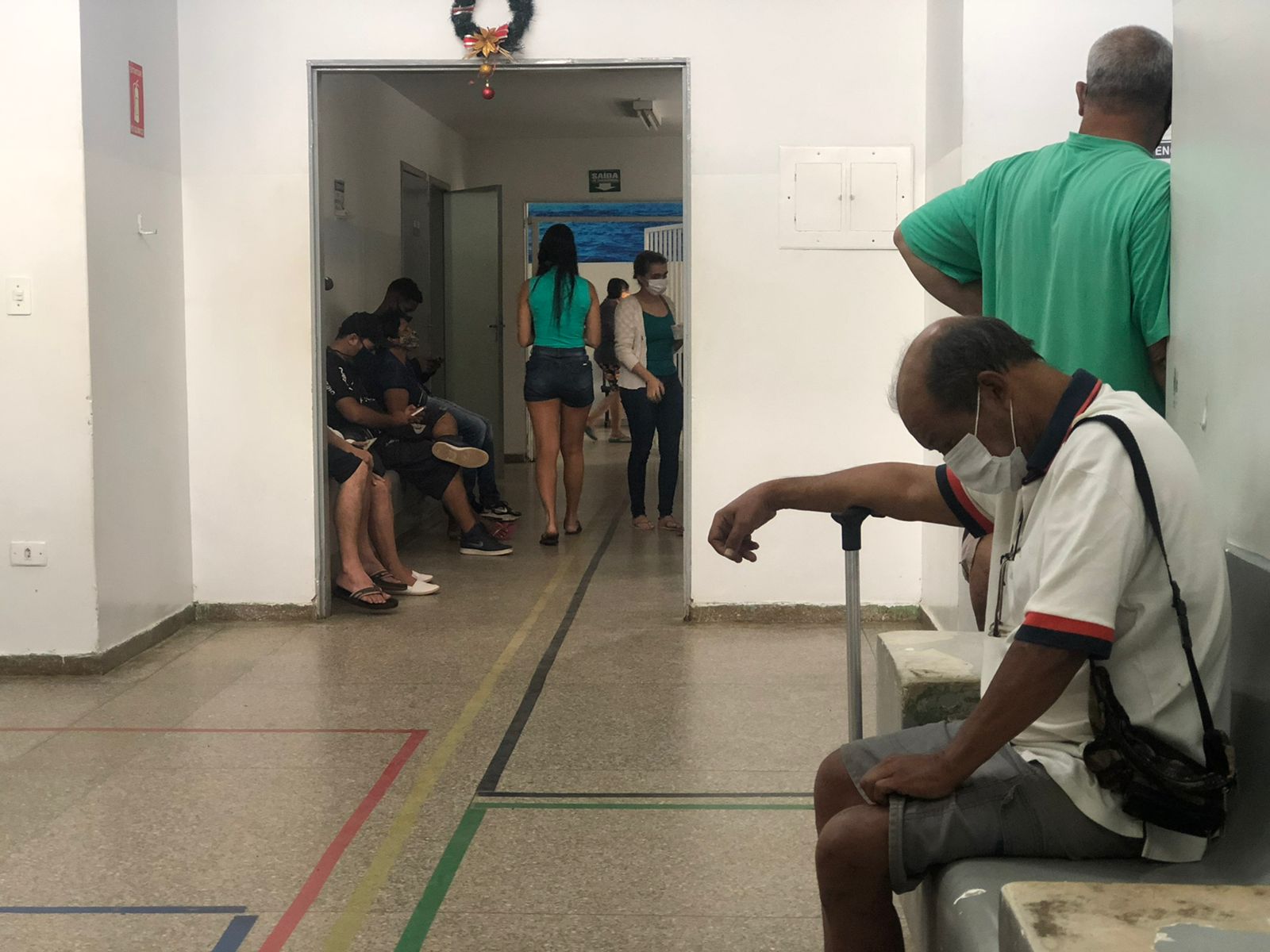 Ovos do mosquito, depositados, podem permanecer vivos por quase um ano. Nas chuvas, eles eclodem e se transformam em milhares de vetores da dengue, zika e chikungunya  Foto; Reprodução