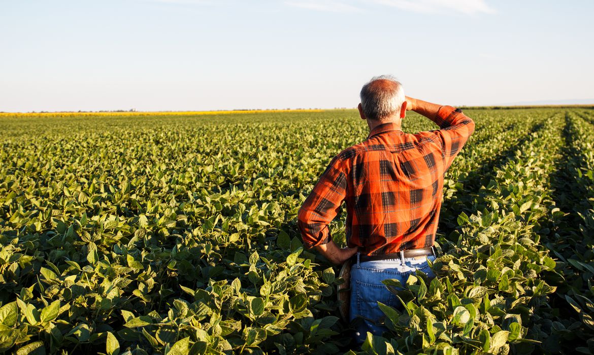 Por meio da ferramenta, o produtor rural declarará de que forma cumprirá as normas ambientais. dá pra confiar? | Foto: reprodução
