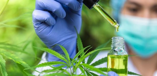 O produto em questão, se trata de um extrato de cannabis sativa Greencare 79,14 MG/ML, da Greencare Pharma. | Foto: Reprodução