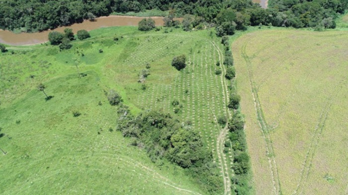 Treinamento, que ocorre no Centro Cultural Oscar Niemeyer, prepara usuários desde o cadastro inicial até o preenchimento completo das informações | Foto: Divulgação