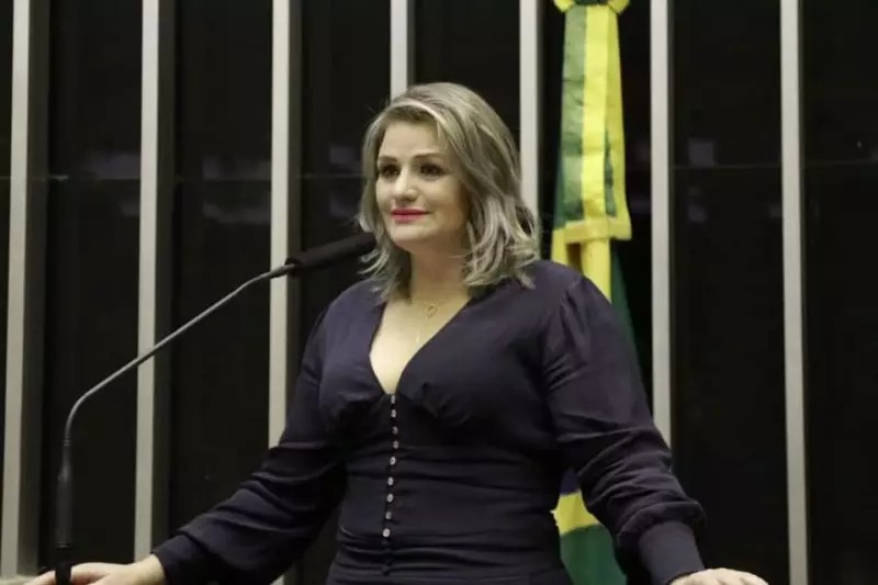 Graciela Nienov, ex-presidente nacional da sigla, teria utilizado suas senhas para prejudicar regionais, dentre elas Goiás | Foto: reprodução