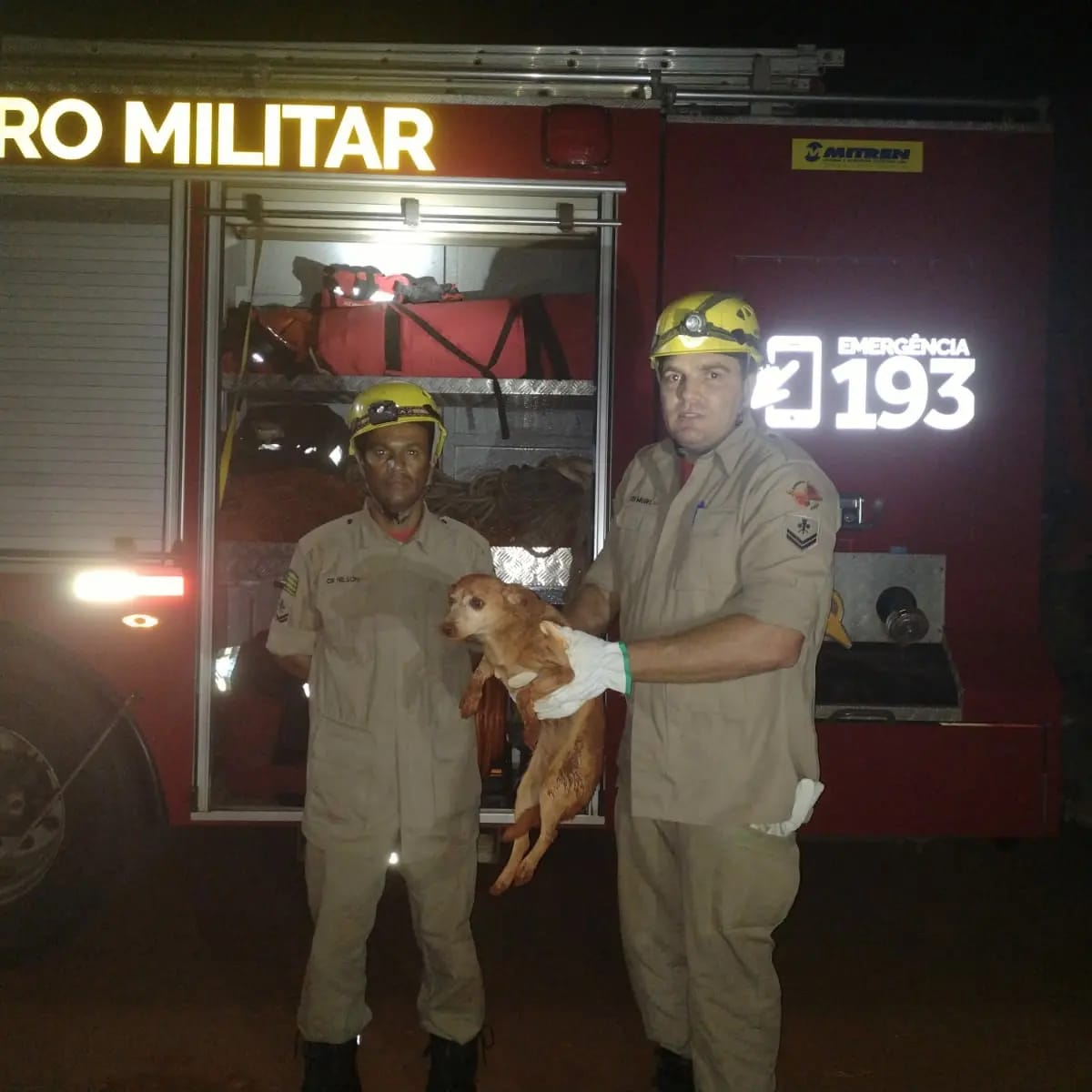 O animal caiu dentro da fundação da obra de uma casa | Foto: Corpo de Bombeiros