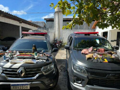 Ação ocorreu na manhã desta segunda-feira | Foto: Divulgação/PCGO