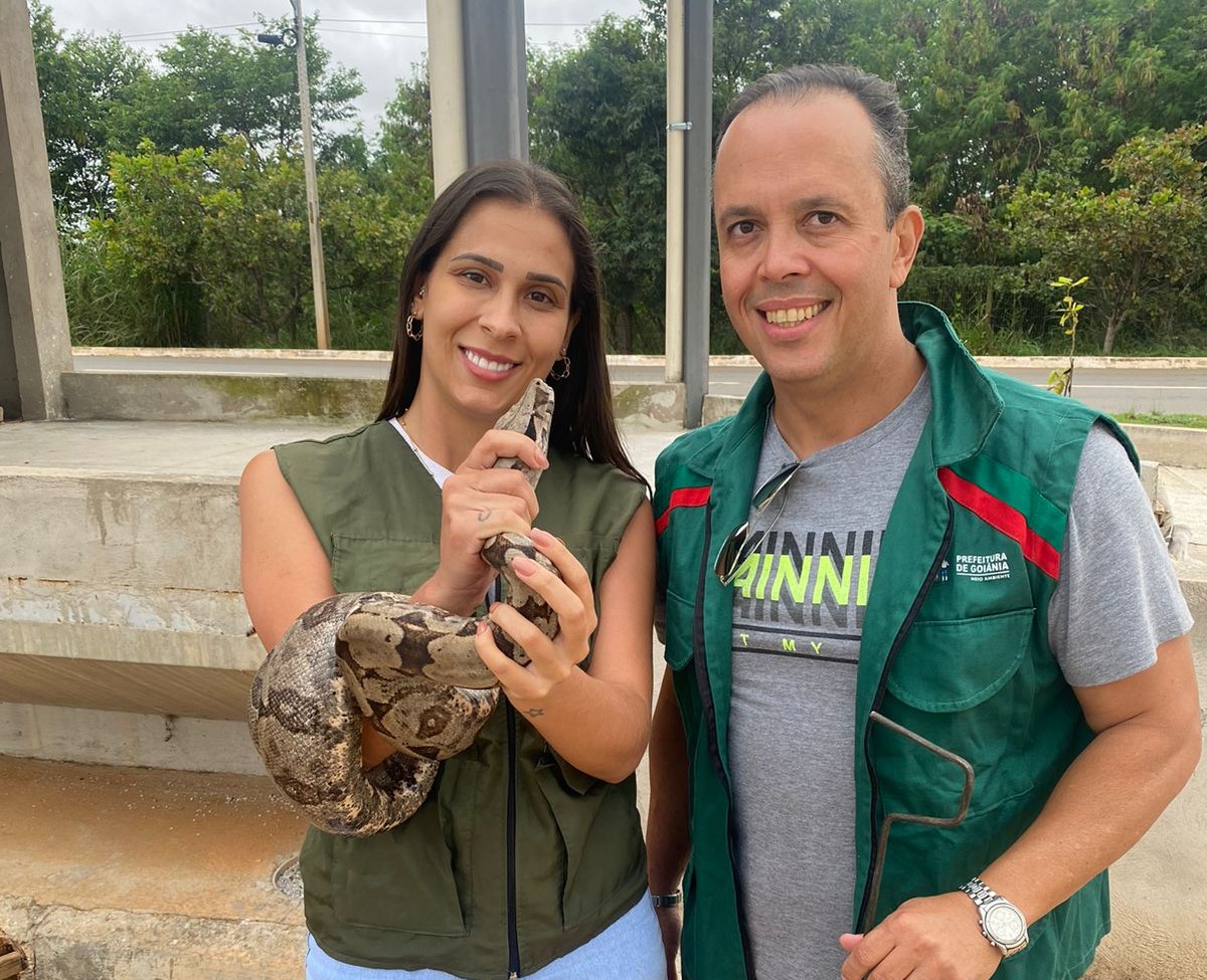 Somente no mês de fevereiro, foram resgatados 58 animais e feitas 21 orientações para a população | Foto: Amma