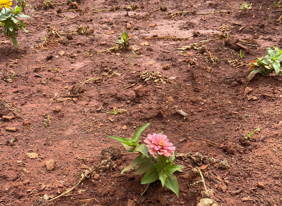 Um ofício será entregue aos órgãos competentes para apuração e identificação de quem cometeu o ato | Foto: Luciano Magalhães Diniz