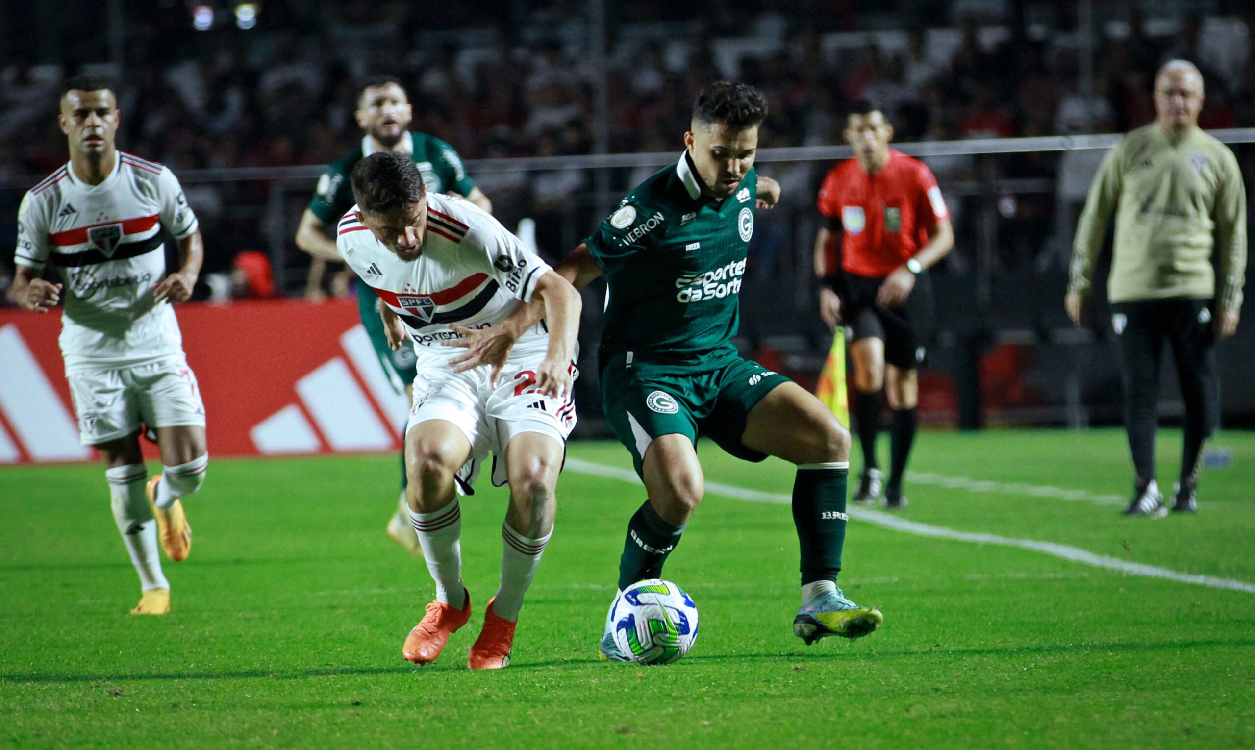 (Foto: Rosiron Rodrigues/Goiás)