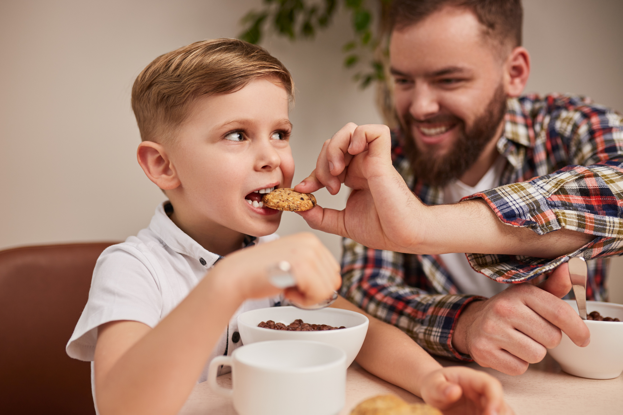 Little boy biting yummy cookie held by smiling dad while having breakfast together in morning