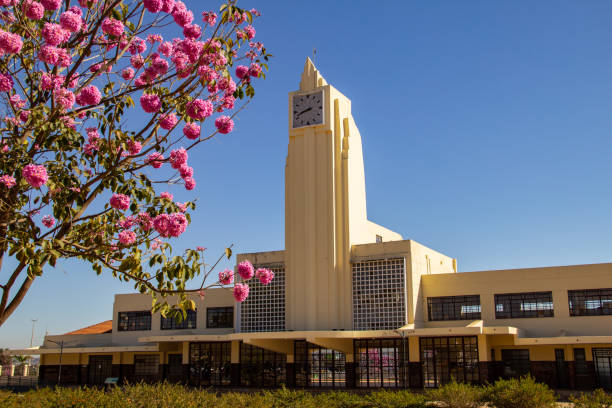 Goiânia, Goias, Brazil – July 17, 2021: The Frei Confaloni Museum with details of pink ipe flowers around. Old railway station in Goiania. Handroanthus heptaphyllus.