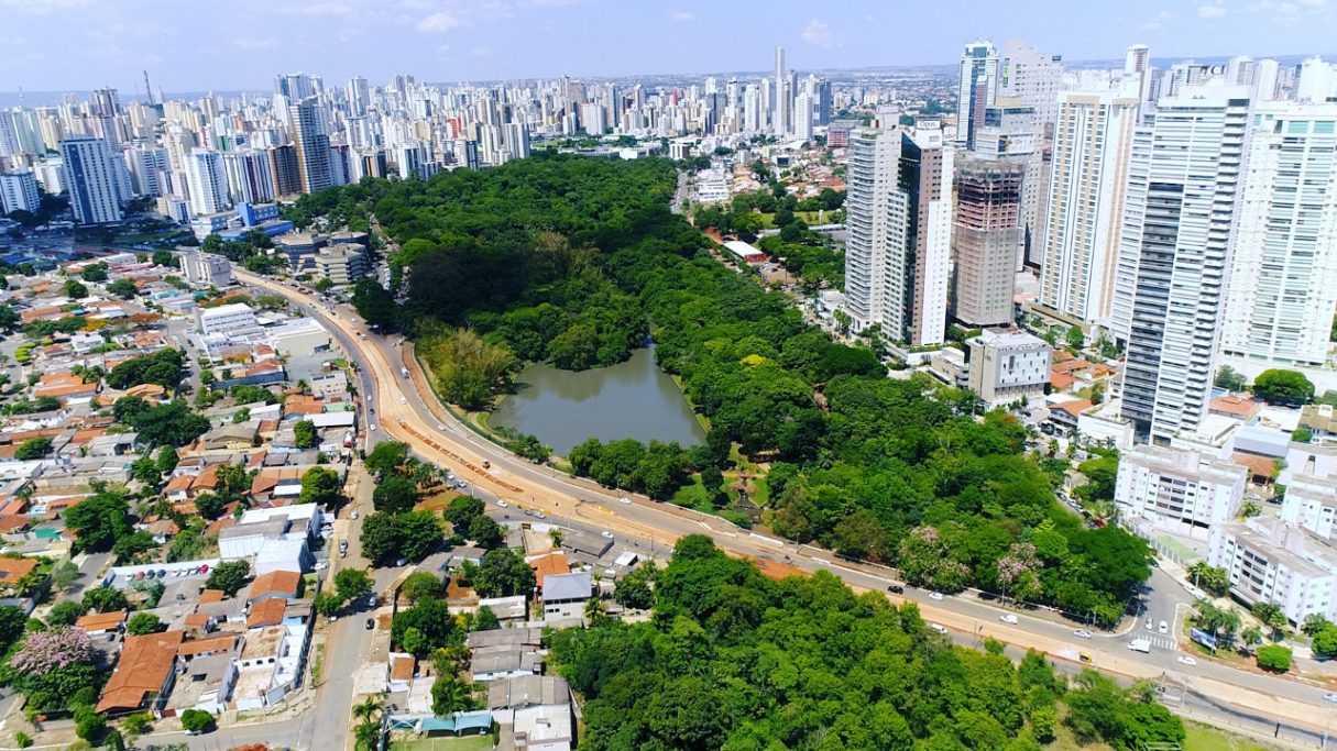 Segundo balanço da Amma, 2022 bateu recorde com o plantio de 199.591 mudas de árvores, enquanto em 2021 foram plantadas 92.088 | Foto: Divulgação