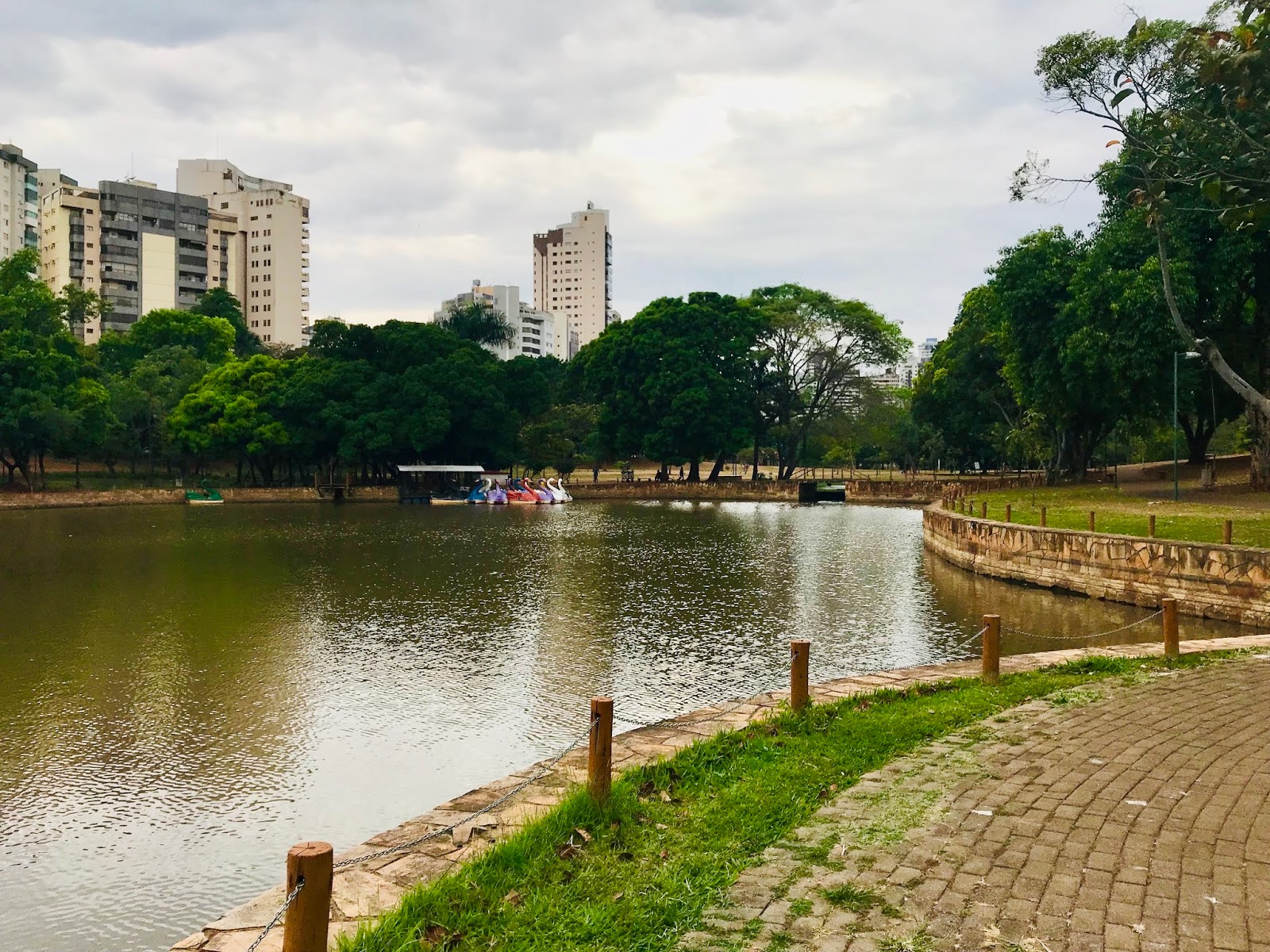 A Amma realizou um relatório no Parque Lago das Rosas, que aponta que não há nenhum lançamento de esgoto nos lagos | Foto: Reprodução