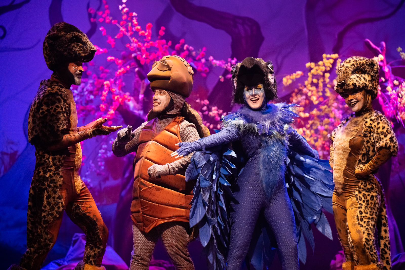 Teatro goiano é referência para todo o Brasil em conceito, criação, produção, casting, encenação, direção, iluminação, sonoplastia | Foto: Divulgação