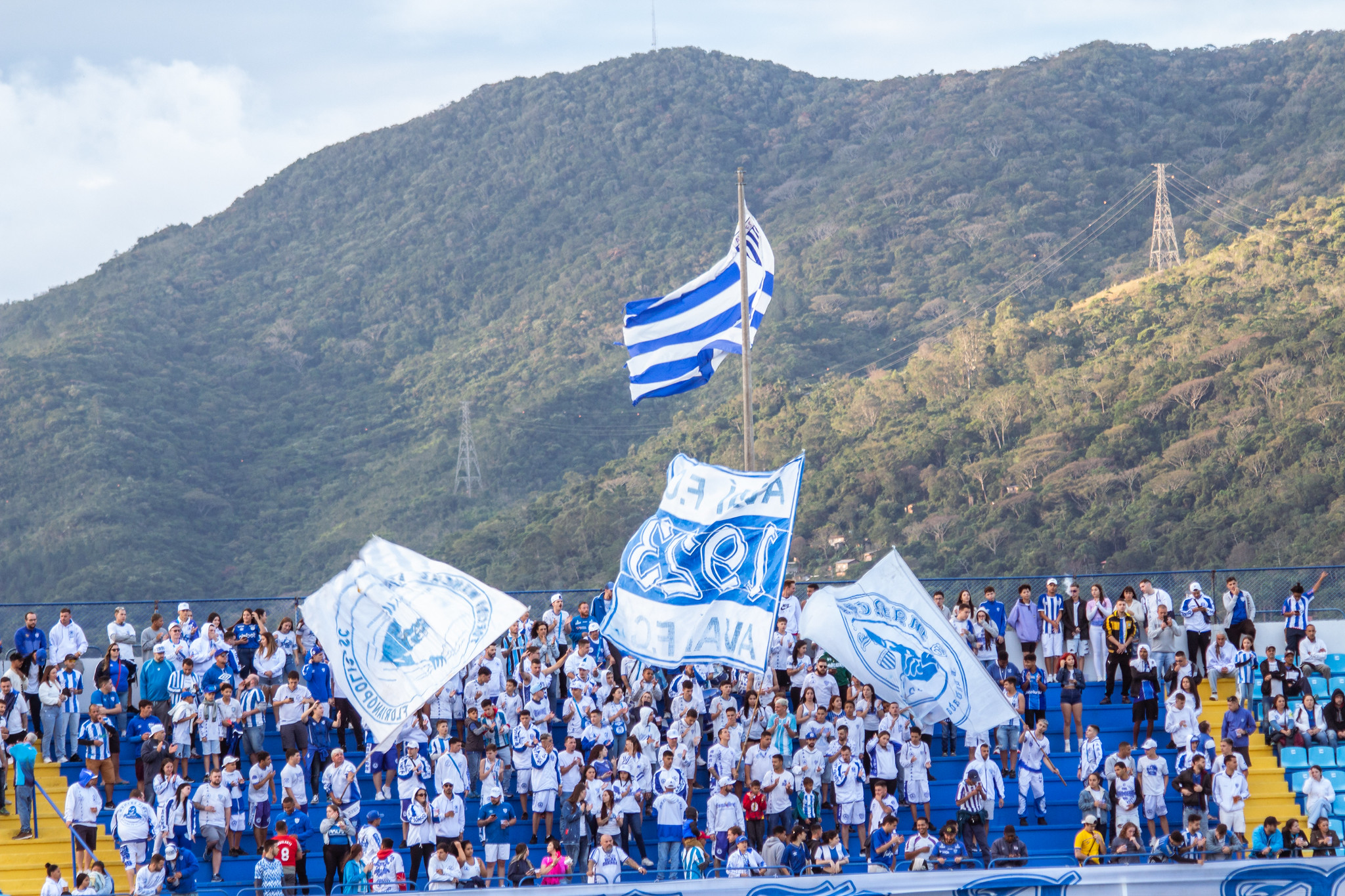 Foto: Laysa Silva/Avaí F.C.