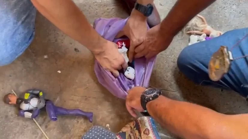 Polícia Civil descobriu o endereço após denúncias feitas por vizinhos da família | Foto: Reprodução