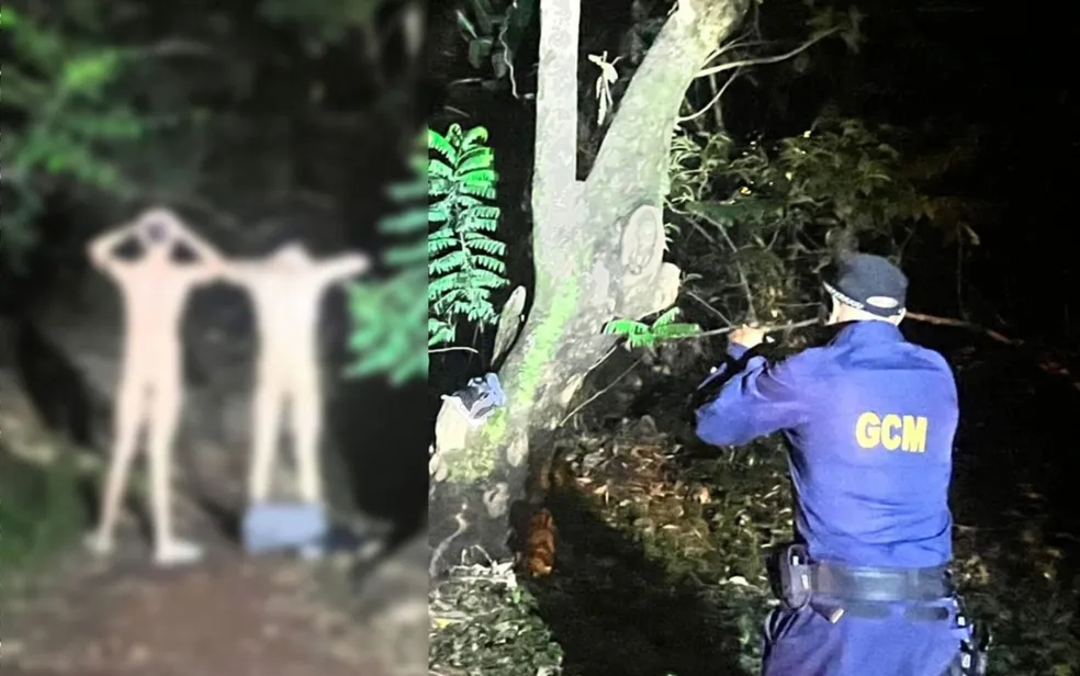A prisão dos homens aconteceu durante o patrulhamento no Bosque dos Buritis pela GCM | Foto: Reprodução