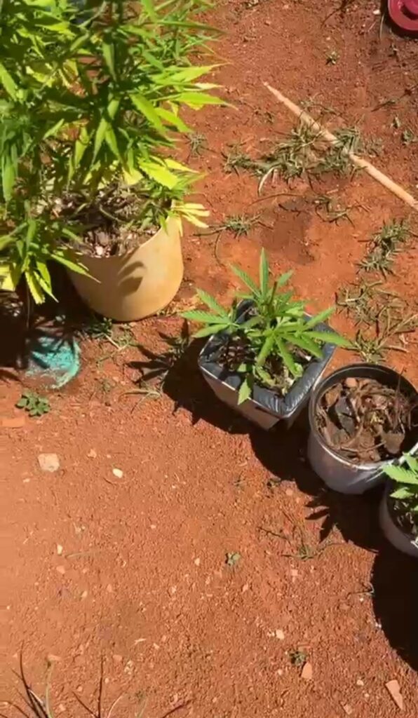 Homem é preso por suspeita de chicotear a esposa grávida e estrangular a mãe, em Planaltina