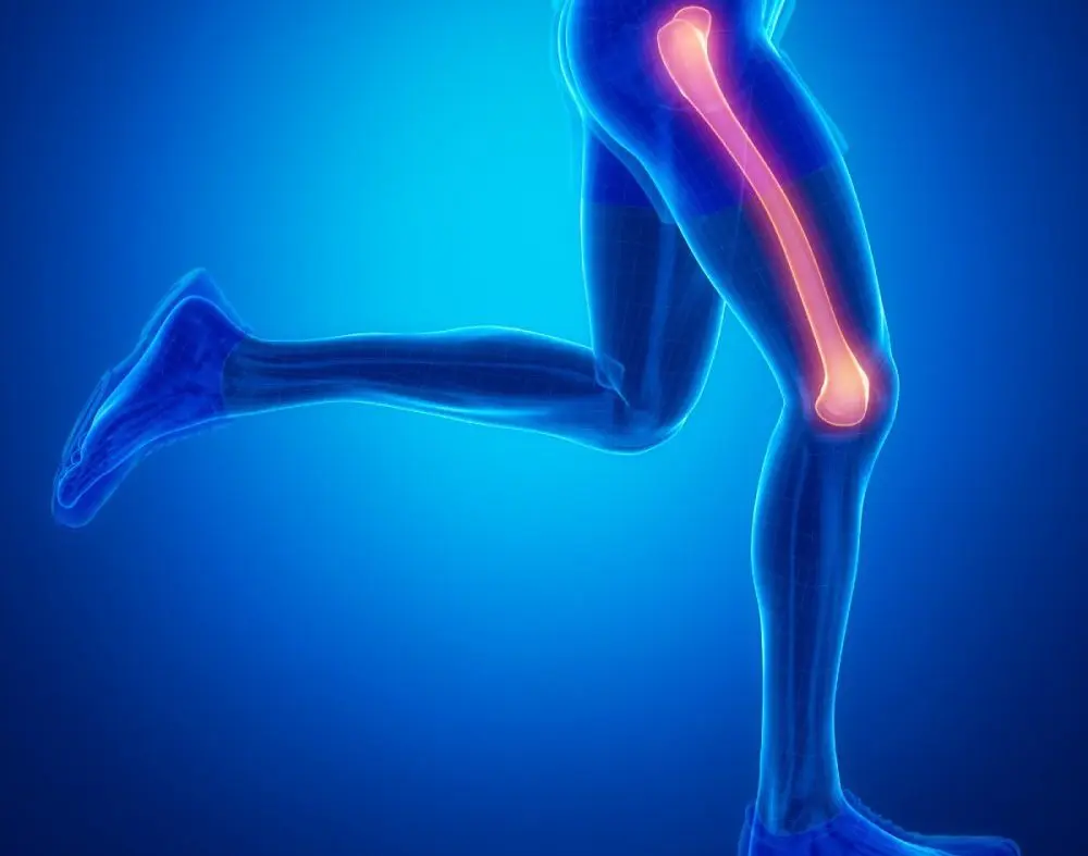 Qual é o menor e o maior osso do corpo humano?