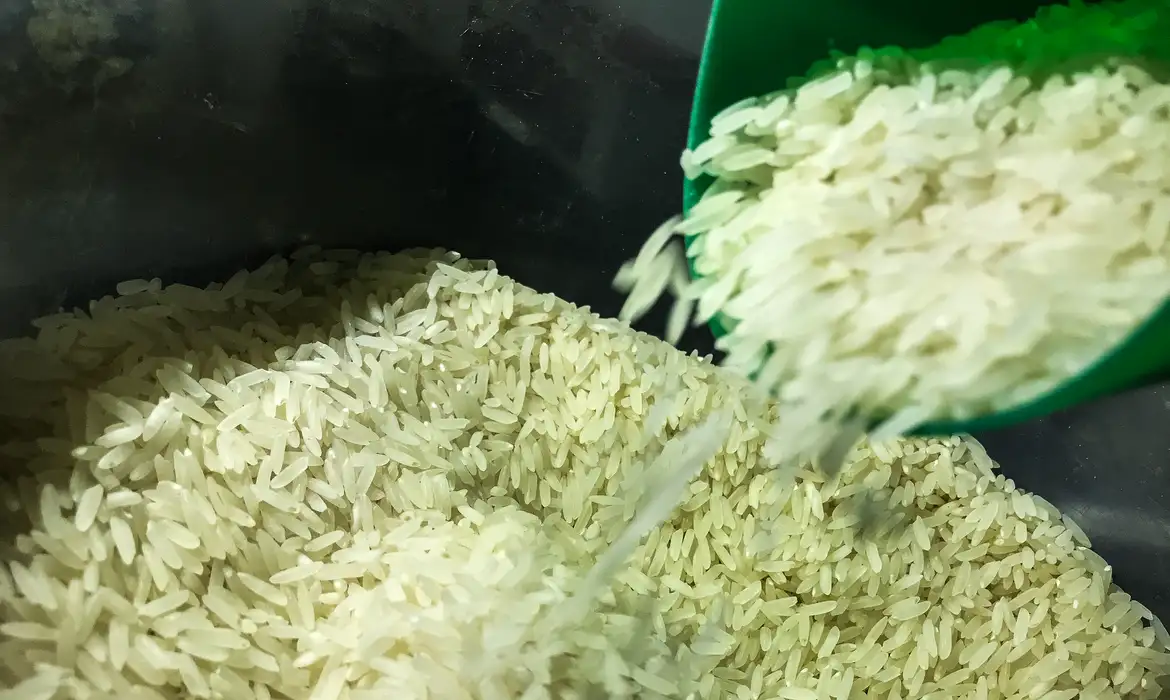 Ao todo, foram liberados R$ 7,2 bilhões para a compra de arroz com o preço tabelado em R$ 4 por quilo. | Foto: Reprodução