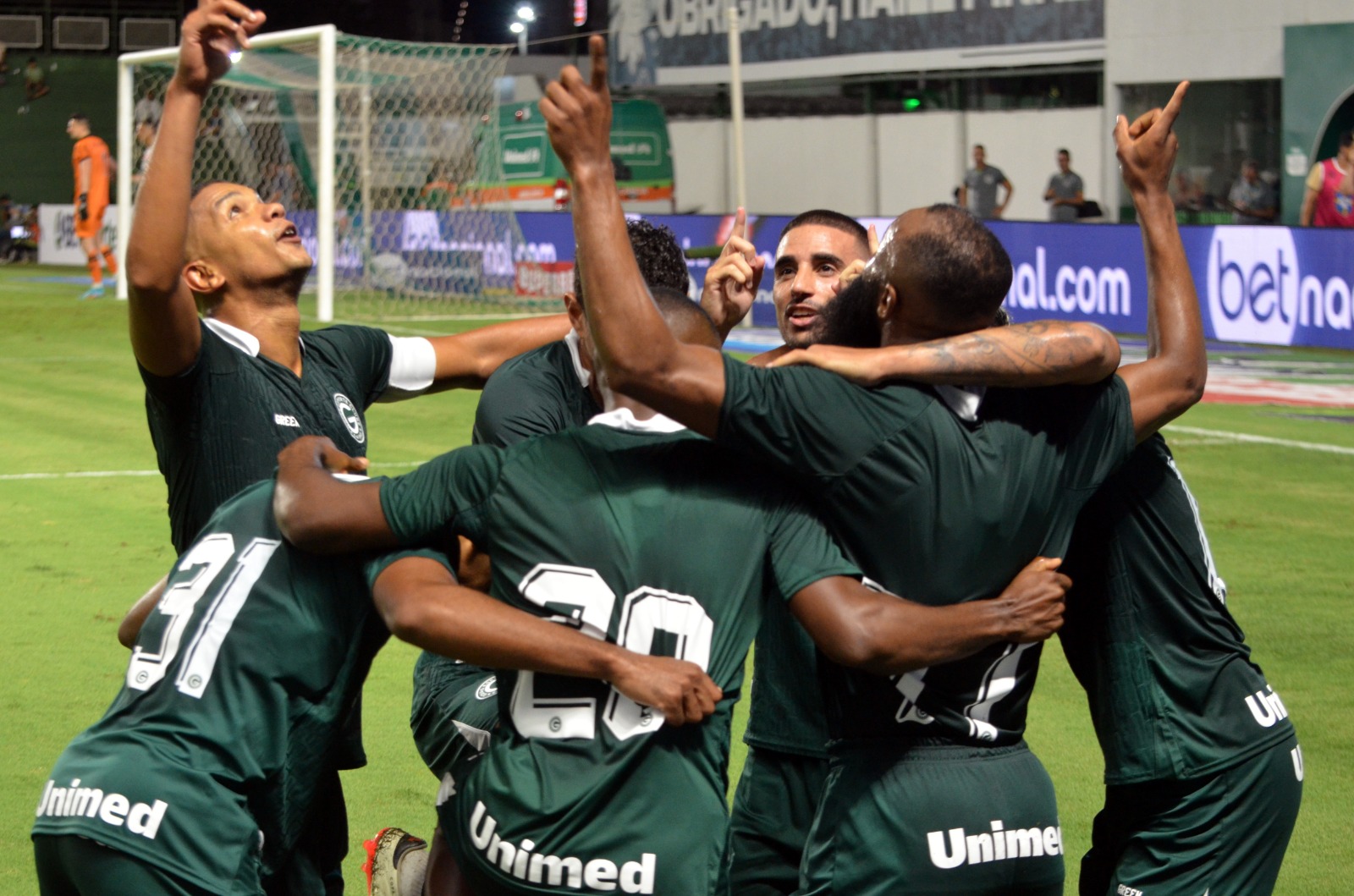 Verdão fez 4 a 0 no Botafogo-SP, com dois gols de Marcão, um de Ángelo e de Thiago Galhardo.  (Foto: Afonso Cardoso)