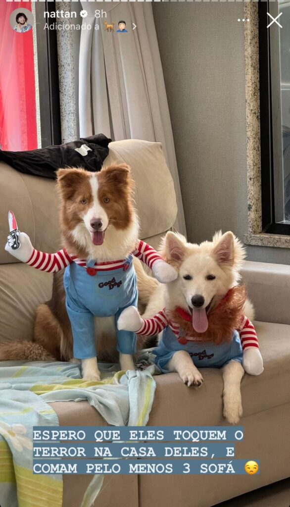 WhatsApp Image 2024 05 20 at 18.54.19