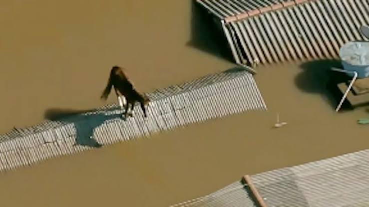 Imagem: redes sociais