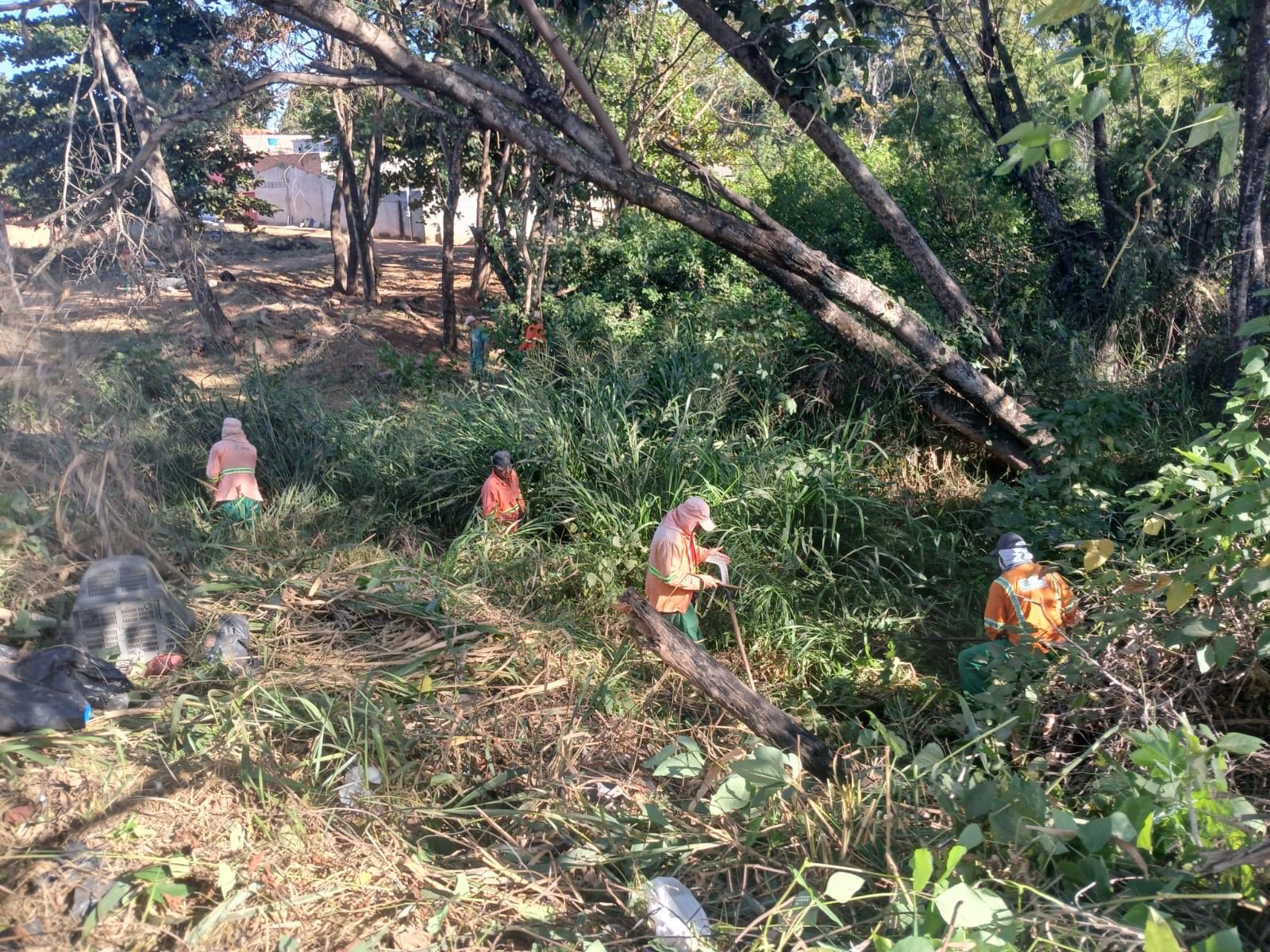 Serviço consiste no corte de mato alto, remoção de pequenos arbustos e retirada de lixo acumulado às margens dos cursos de água. | Foto: Divulgação