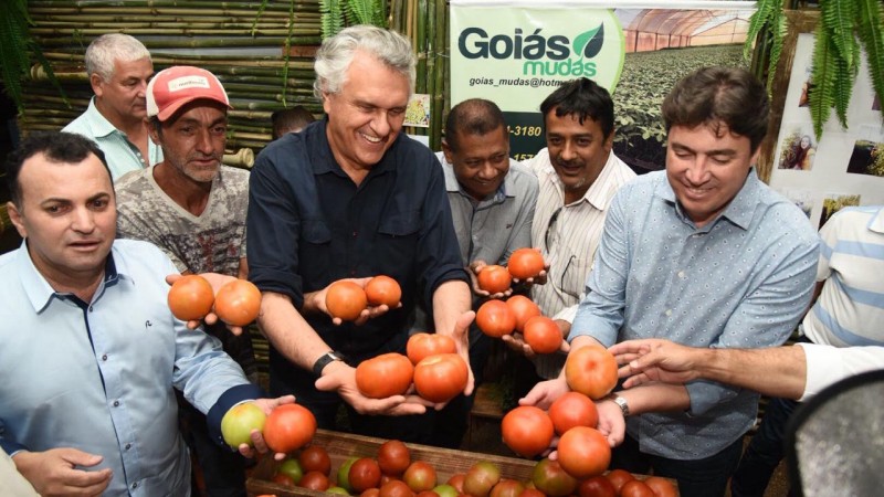 Pré-candidatos visitam 35ª Festa do Tomate de Goianápolis (Foto: Divulgação)