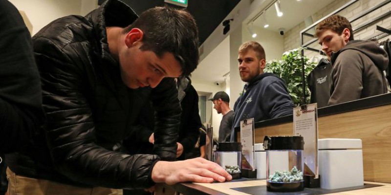 Canadá legaliza maconha para uso recreativo (Foto: Reuters/Chris Wattie)