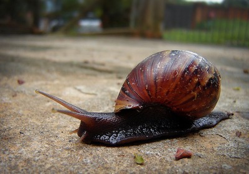 8ab305017ad1c53ceef8c359bc6c02ed