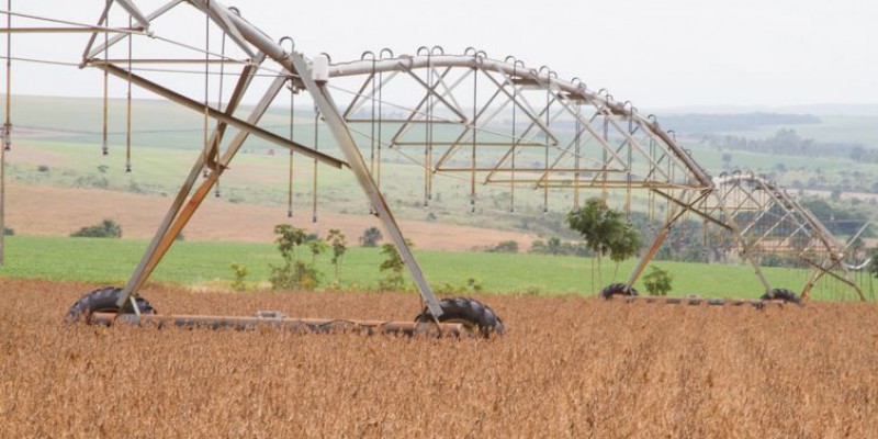  Exportações agropecuárias cresceram 35,8% em outubro, contribuindo para o resultado positivo (Foto: Tony Oliveira/CNA/Direitos Reservados)