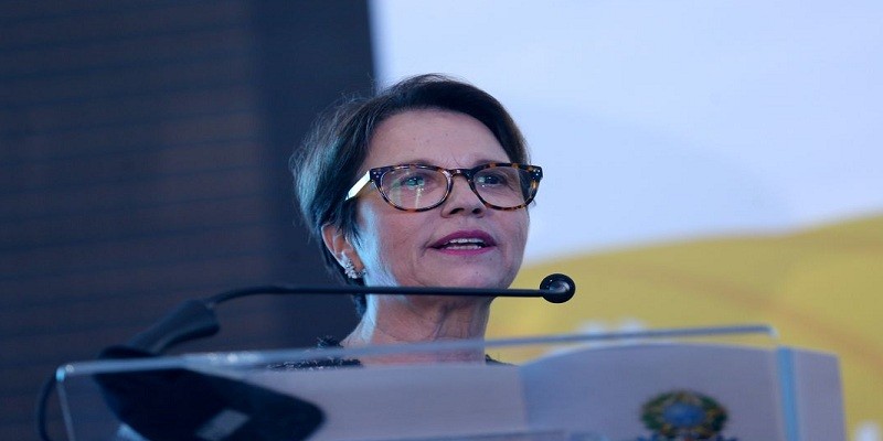 Se confirmada, ela será a primeira mulher escolhida por Bolsonaro para integrar o governo que começa em 2019