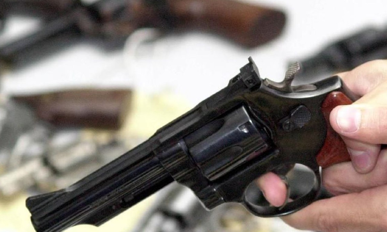 Grupo deve formular, editar e apresentar projetos e orientações para regular limitações de compra, porte, uso, registro e transporte de armas de fogo | Foto: reprodução